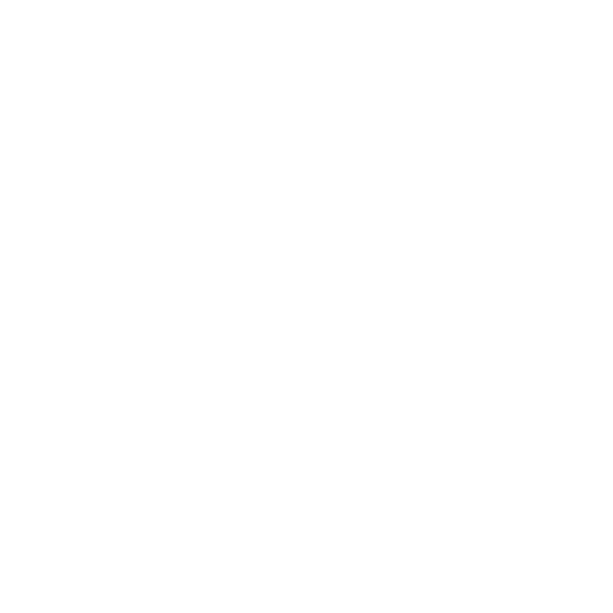 Logo White